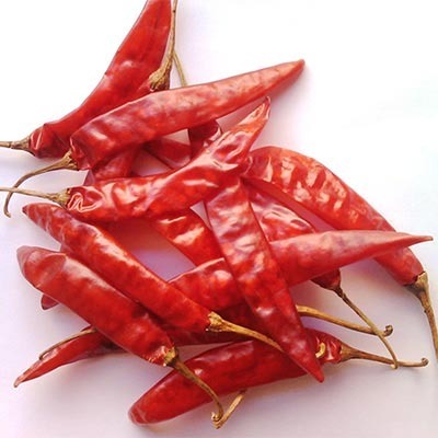 Suppliers of Red Chilly